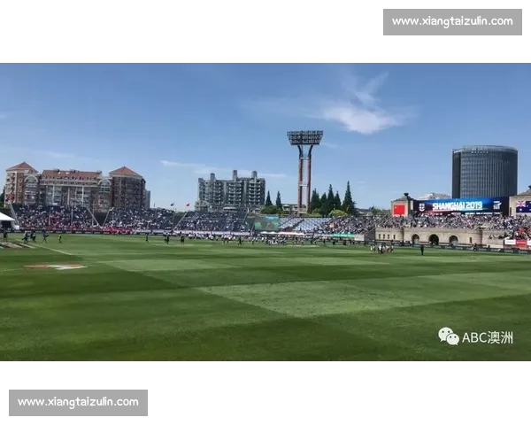 高清足球赛事直播APP下载指南畅享全球赛场精彩即时比分数据分析权威解说 - 副本 - 副本 - 副本 (8) - 副本