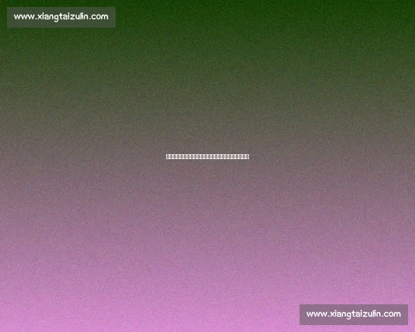 国内外最新体育赛事动态深度解析与球员表现全面追踪